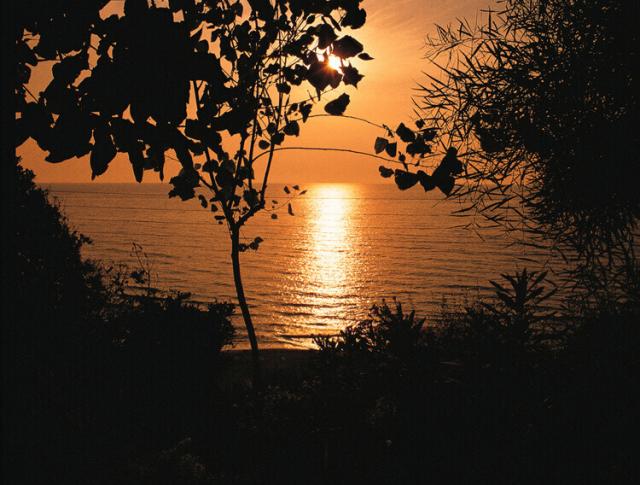 SUNSET.JPG