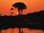 SUNSET2.JPG