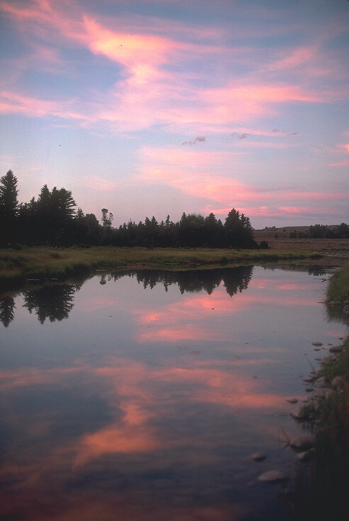 094063B.JPG