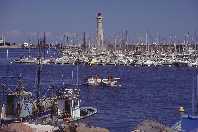 IMG0181.jpg
