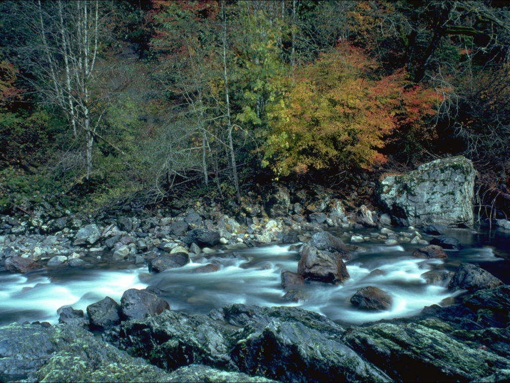 N260761.JPG