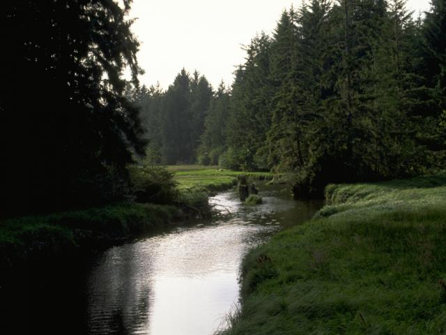 N260780.JPG