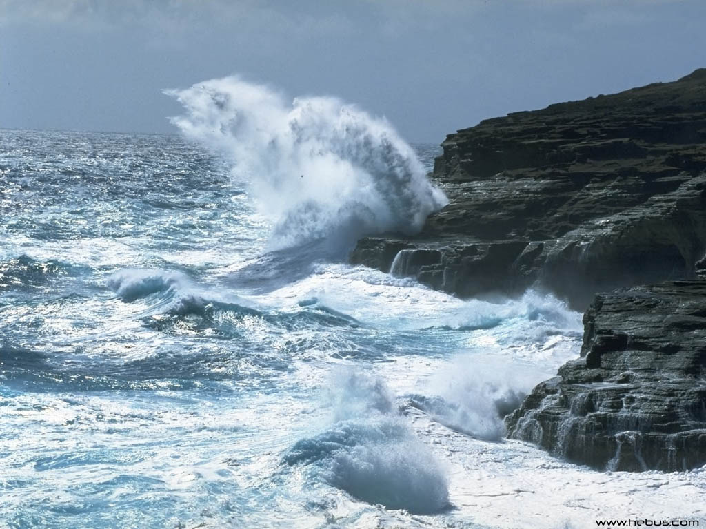 nature102.jpg