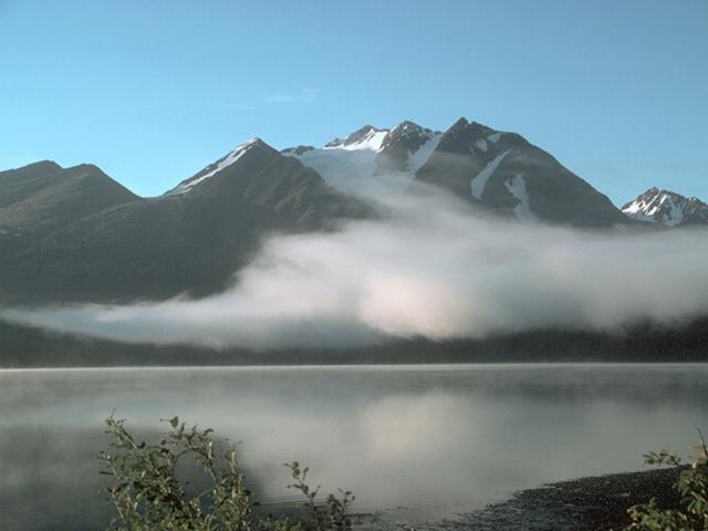 nature11.jpg