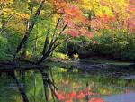 nature12.jpg