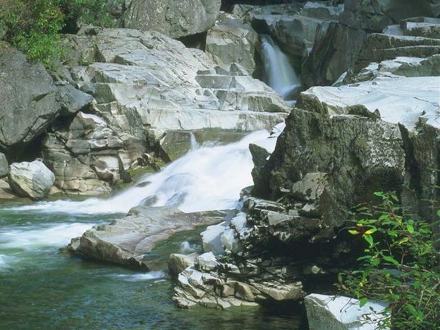 nature128.JPG