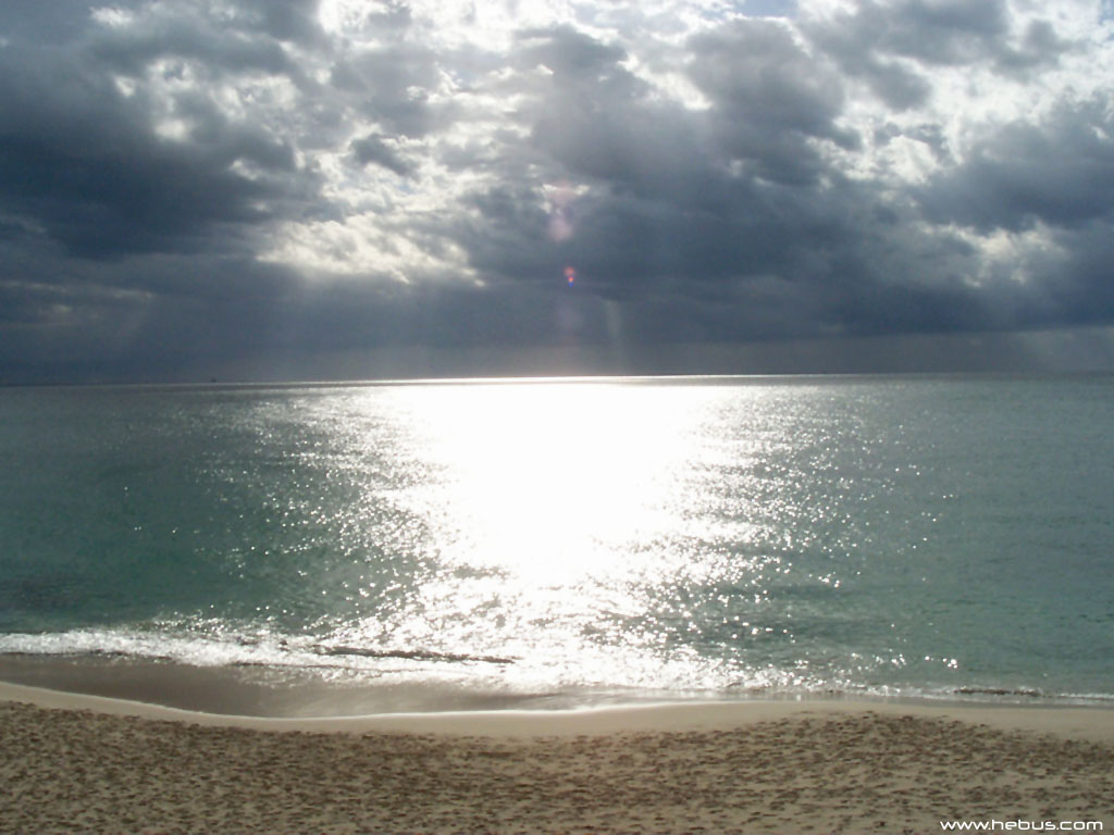 nature130.JPG