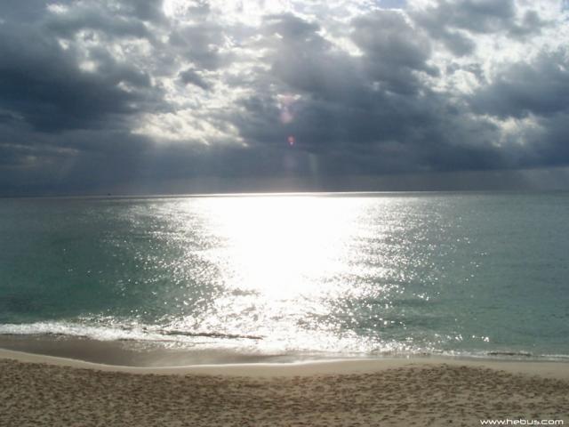 nature130.JPG