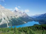 nature146.jpg