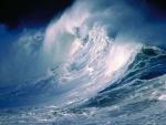 nature154.JPG