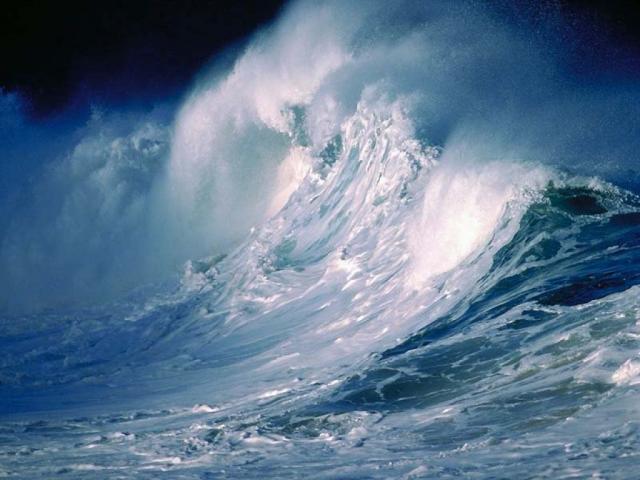 nature154.JPG