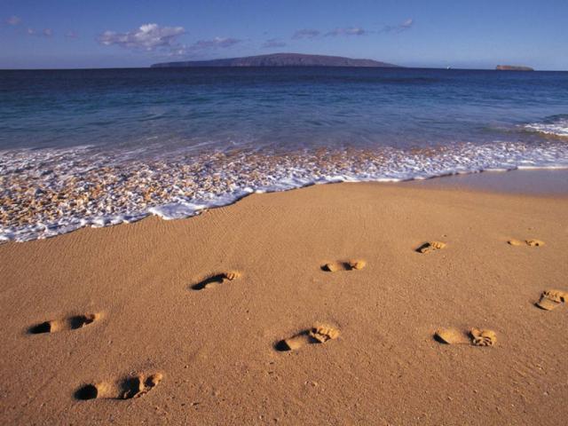 nature157.jpg