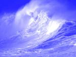nature159.jpg