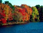 nature171.JPG