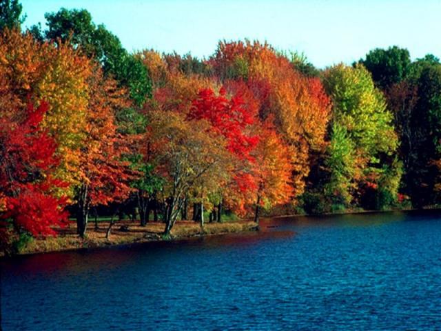 nature171.JPG