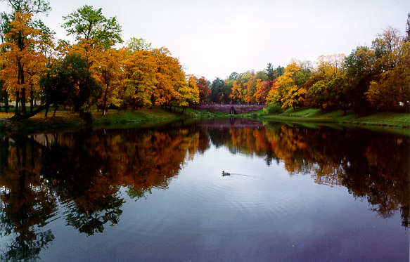 nature186.JPG
