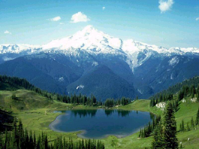 nature233.jpg