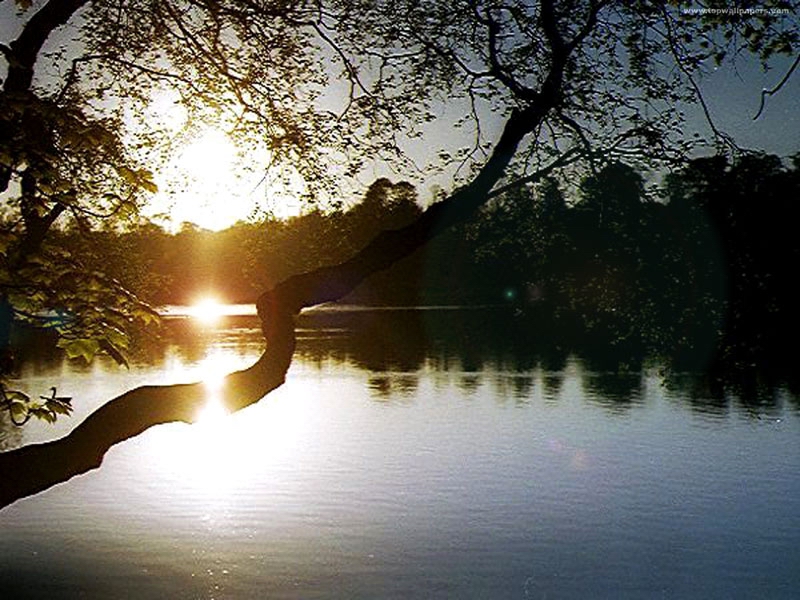 nature27.jpg
