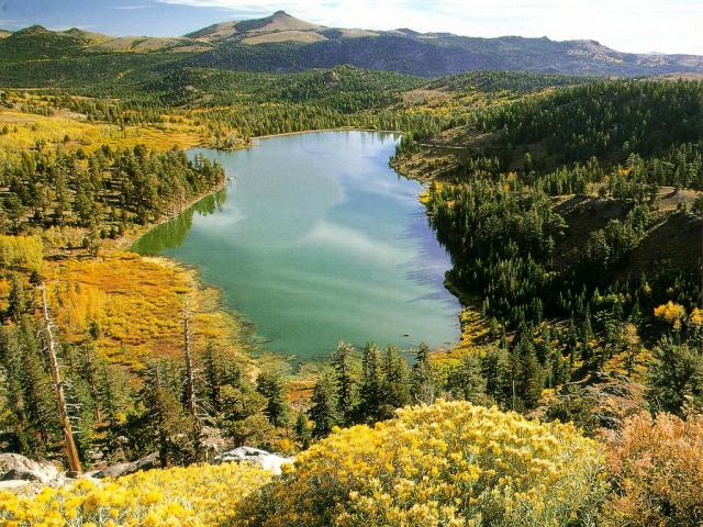 nature30.JPG