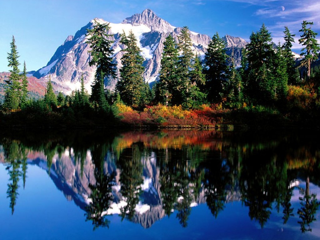 nature56.jpg