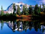 nature56.jpg