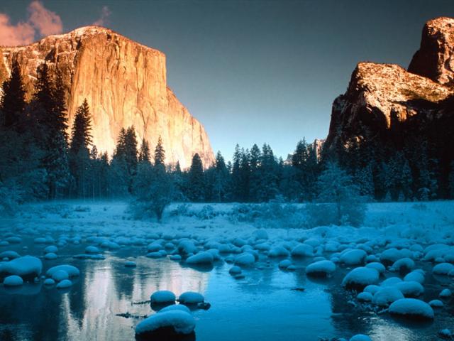nature64.jpg