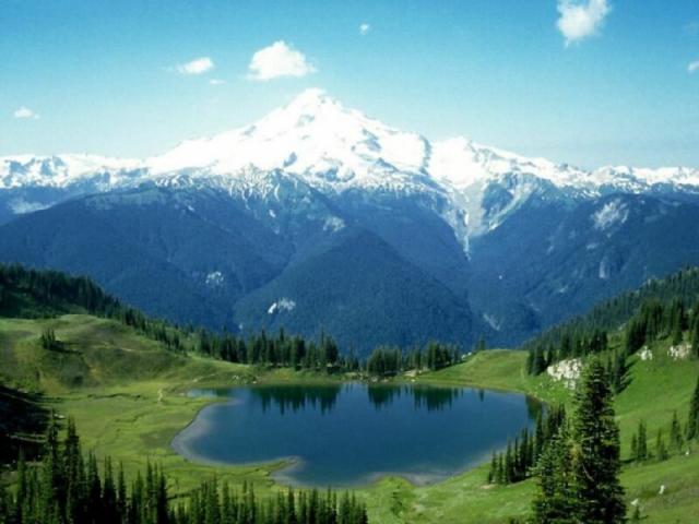 nature65.jpg