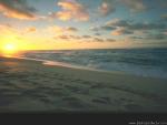 Nature_34.jpg