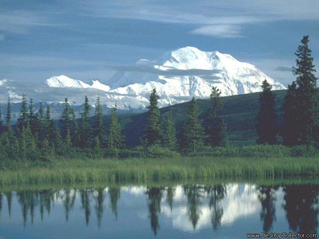 Nature_39.jpg