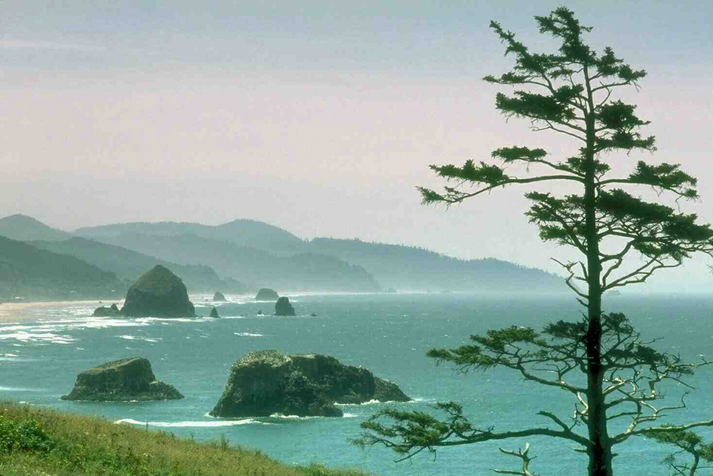 Pic_45.jpg