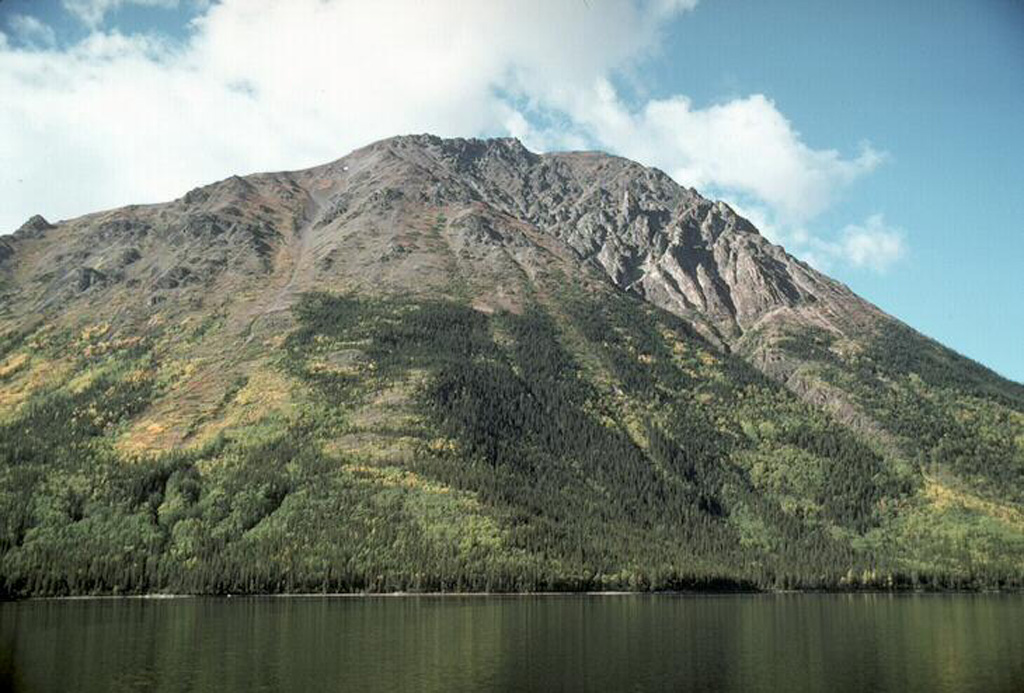 Pic_46.jpg