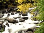 RAPIDS.JPG