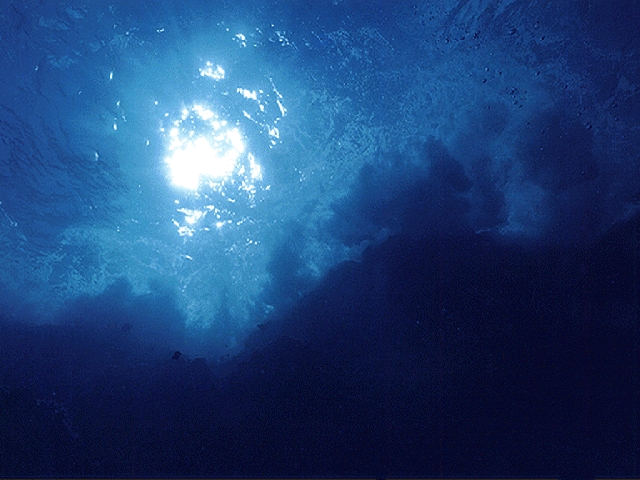 sea2.jpg