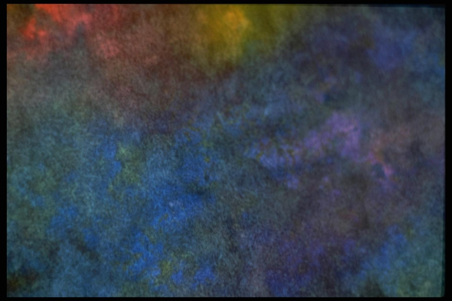 403029.JPG