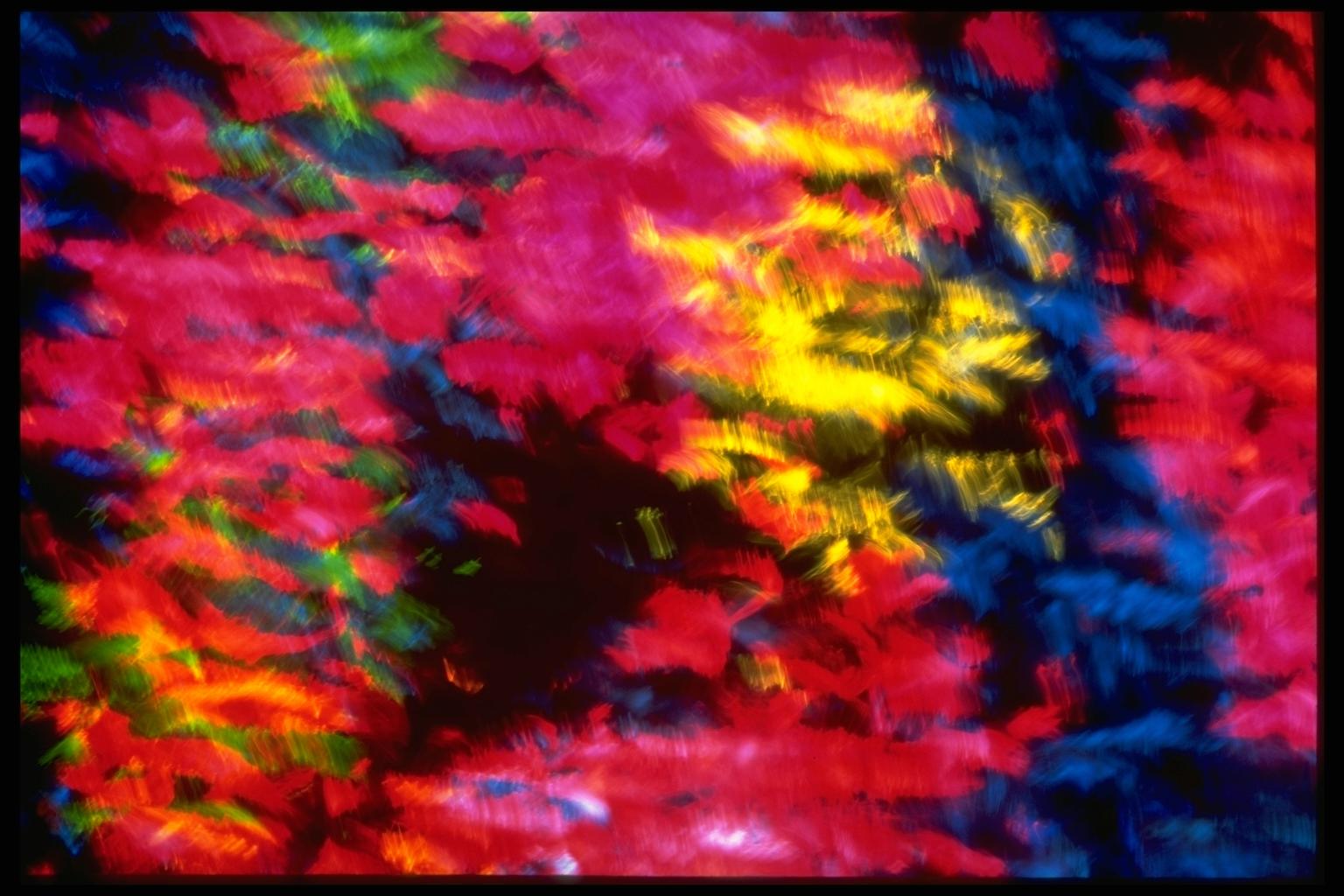 403034.JPG