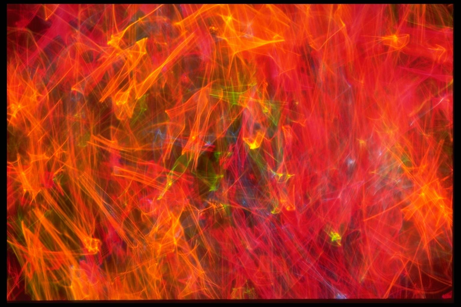 403041.JPG