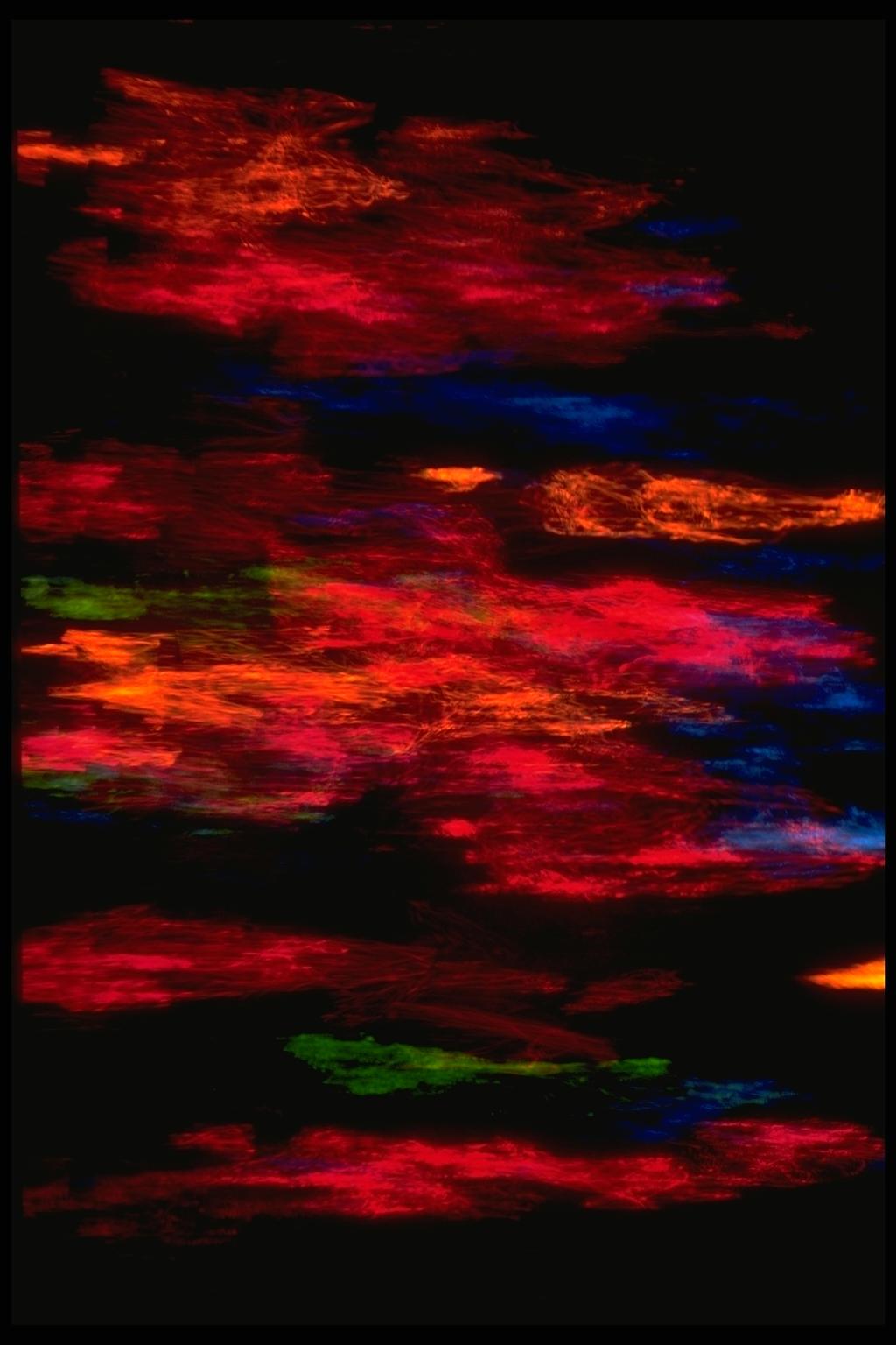 403083.JPG