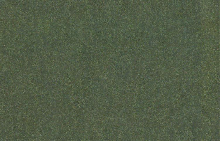 DKGREE_1.JPG