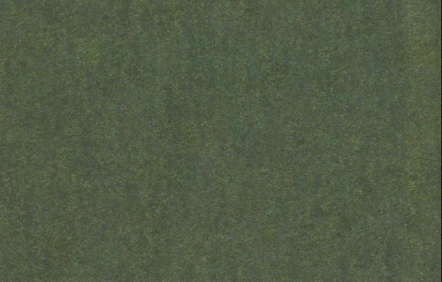 DKGREE_1.JPG