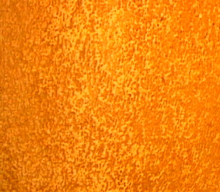 SHELL001.JPG