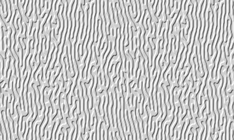 TEXTURE8.JPG