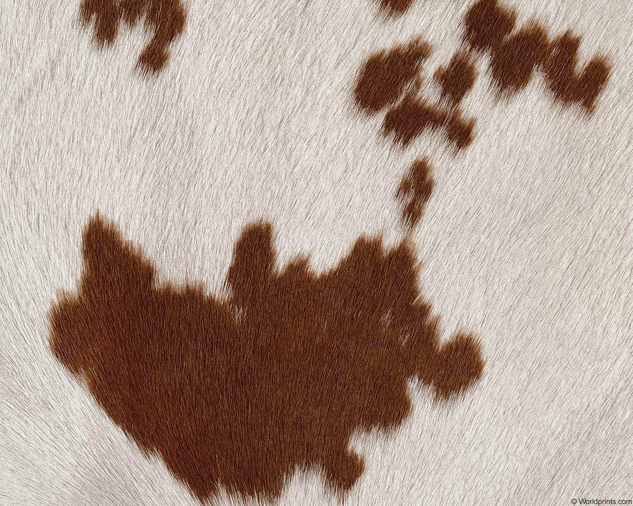 animal_patterns_73.jpg
