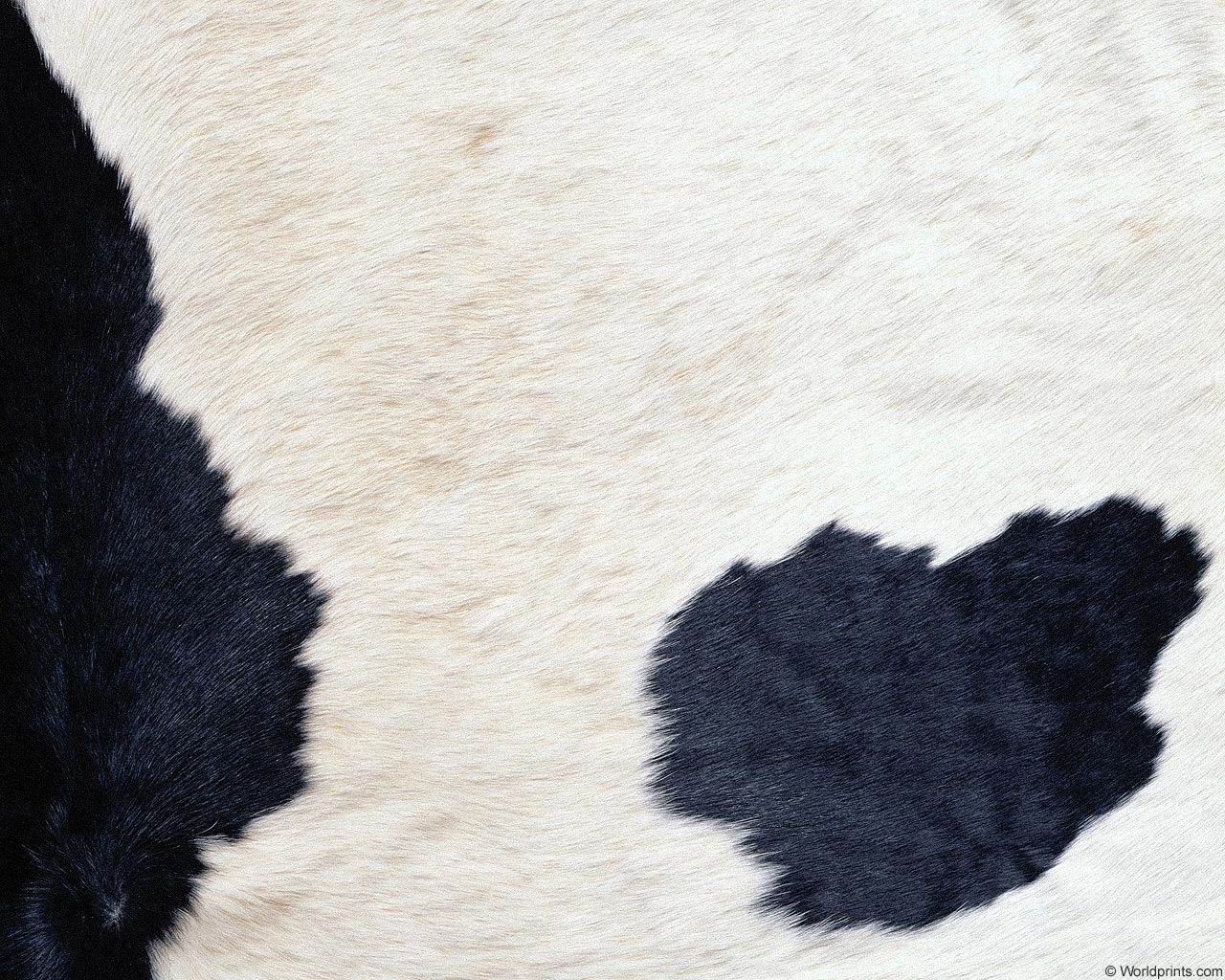 animal_patterns_75.jpg