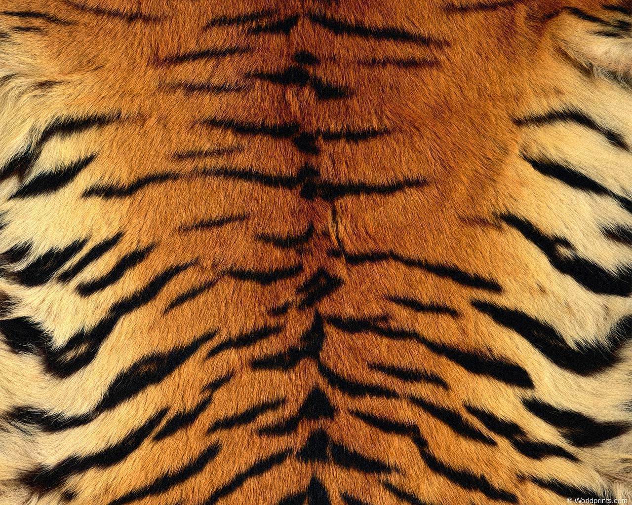 animal_patterns_96.jpg