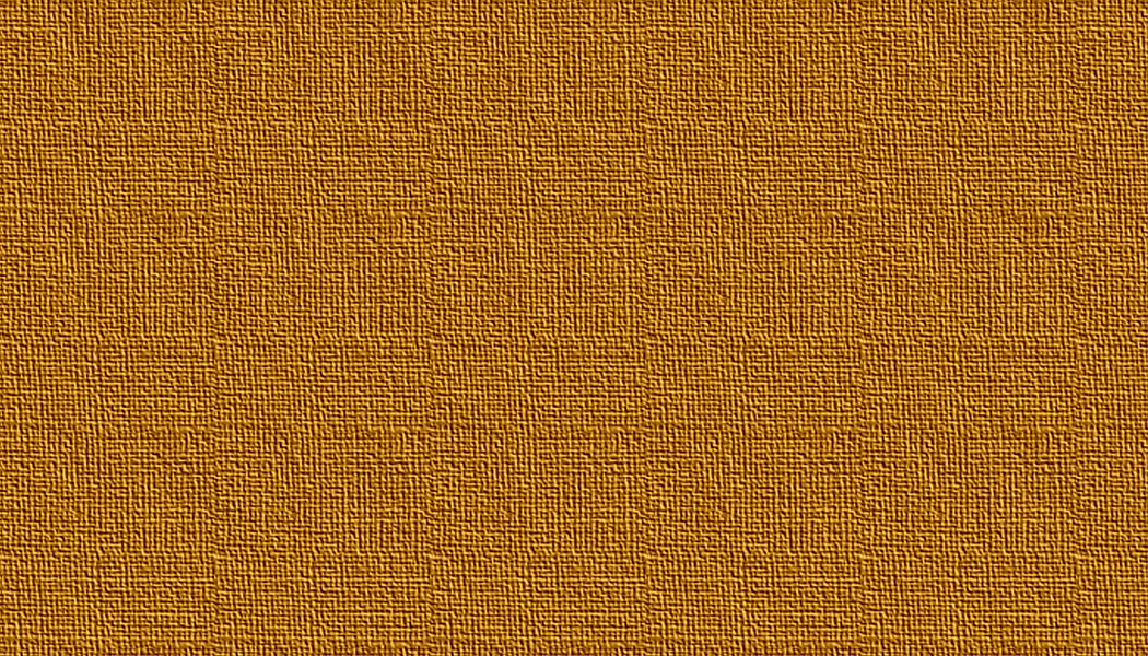 CANVAS.JPG