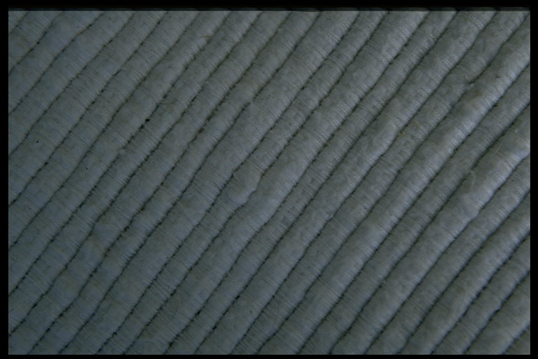 IMG04.JPG