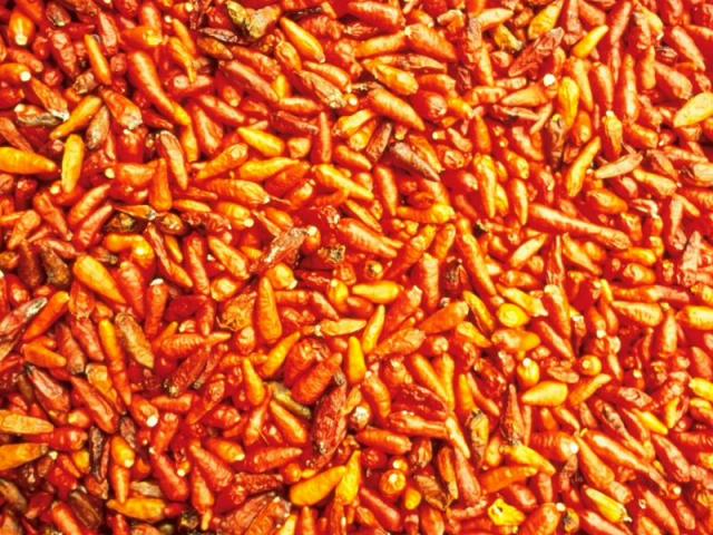 CHILLIES.JPG