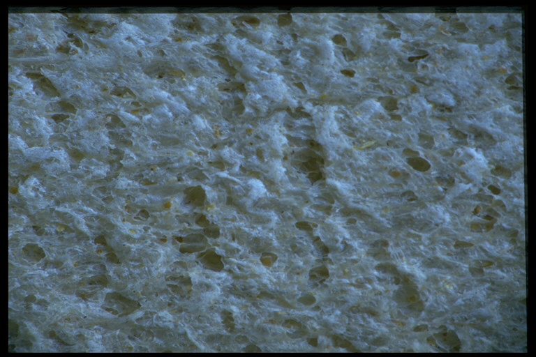 IMG34.JPG