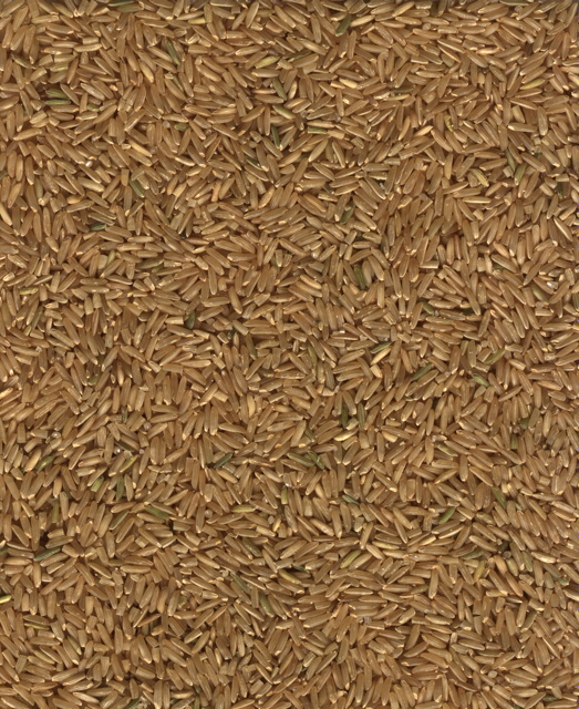 RICE.JPG
