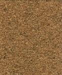 RICE.JPG